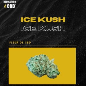 Fleur de CBD - Ice Kush