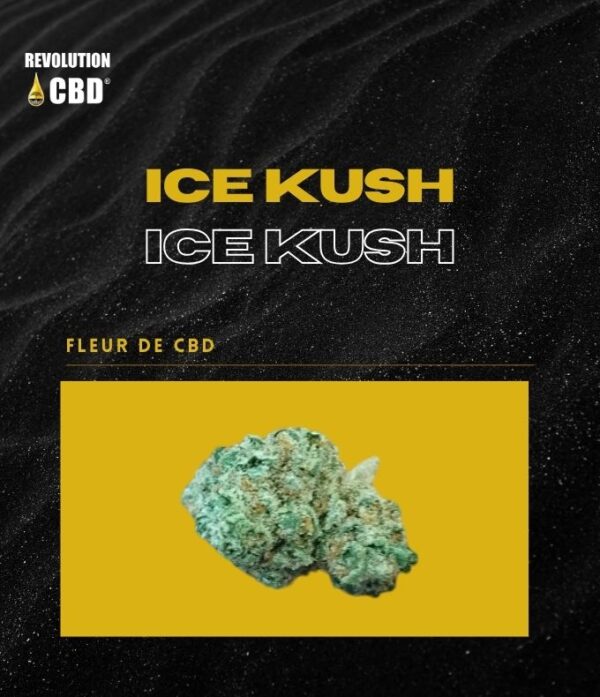 Fleur de CBD - Ice Kush