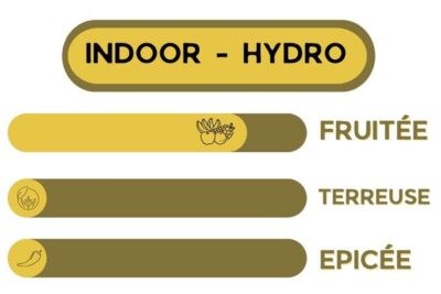 Description - BLACKBERRY Indoor - Fleur CBD Indoor, hydro, fruitée terreuse et épicée