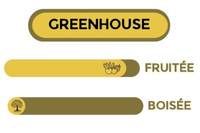 Description - Green Sugar - Fleur CBD Greenhouse, fruitée et boisée