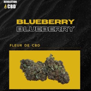 Fleur de CBD BLUEBERRY