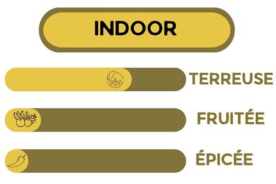 Description - Monster Kush - Fleur CBD
Indoor, terreuse, fruitée épicée