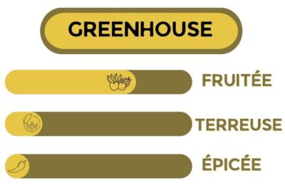 Description - Remedy Haze - Fleur CBD
Greenhouse, fruitée, terreuse épicée