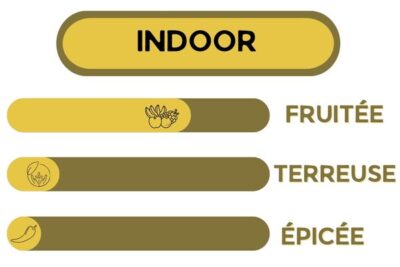 Description - Gorilla Zkittles - Fleur CBD Indoor, fruitée, terreuse et épicée