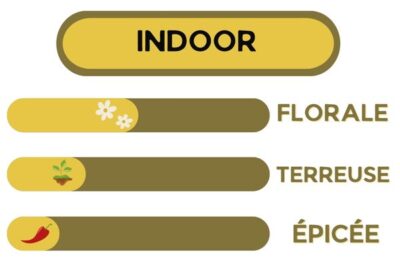 Description - EXOTIC BUD - Fleur CBD
Florale, terreuse, épicée 