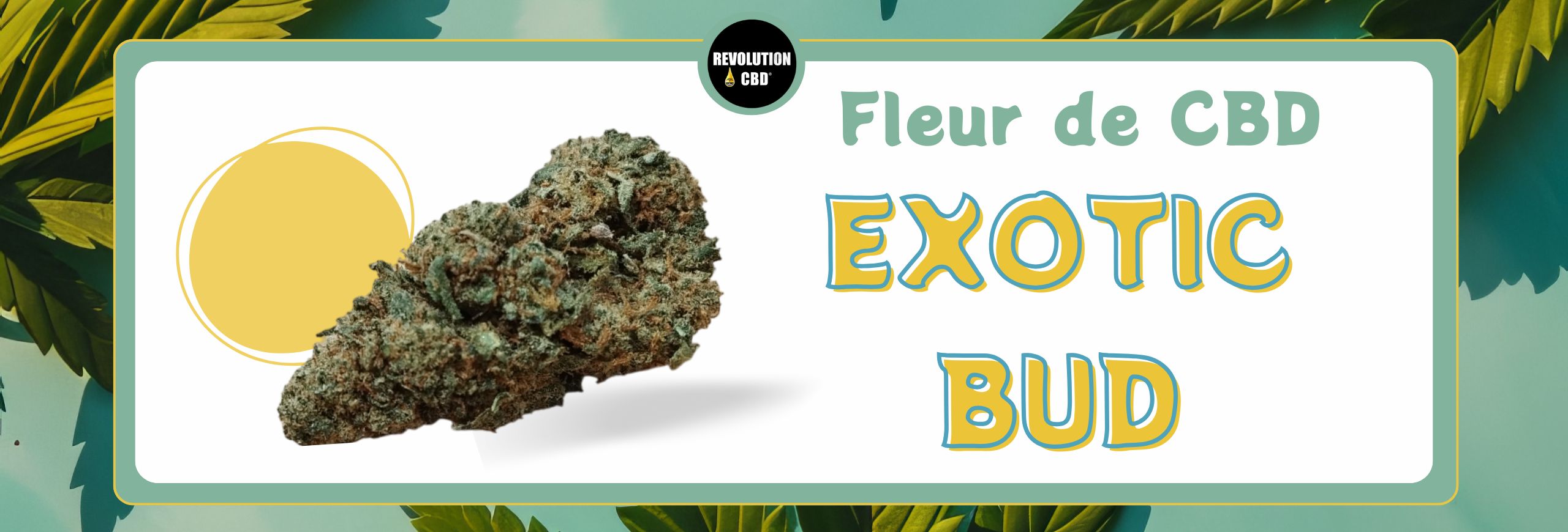 EXOTIC BUD FLEUR DE CBD