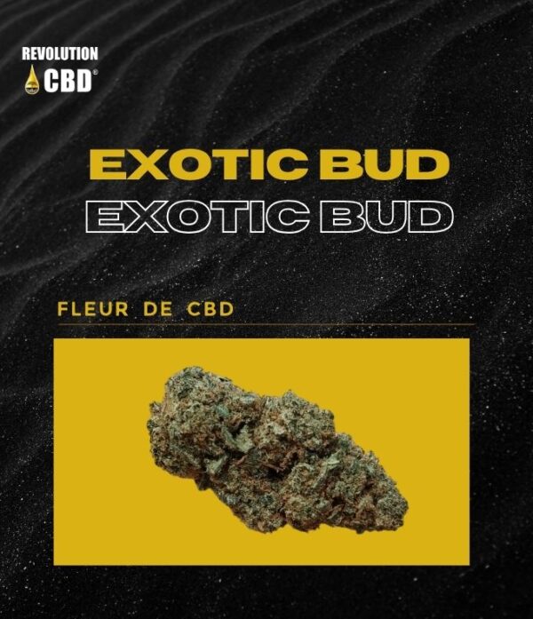 Fleur de CBD EXOTIC BUD