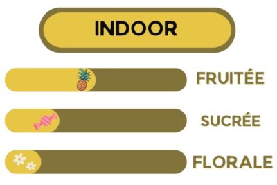 Description - PINACOLADA - Fleur CBD
Fruitée, sucrée et florale