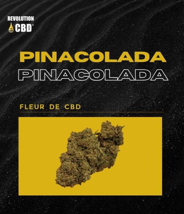 FLEUR CBD PINACOLADA