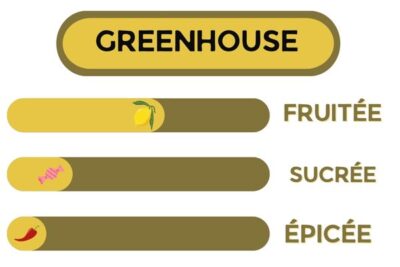 Description - SUPER LEMON HAZE - Fleur CBD
Fruitée, sucrée et épicée